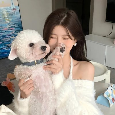 热播好剧