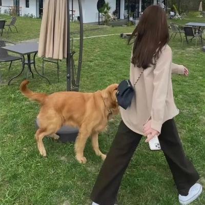 时间上的家